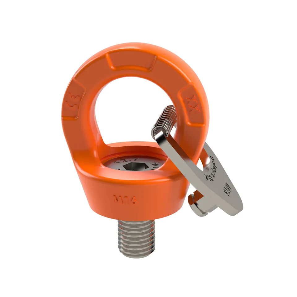 dolezych-dolast-dlr-ringschraube-m8-300-kg-g-te-10 image 1