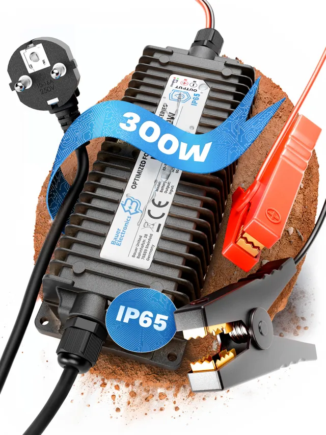 bauer-electronics-ladeger-te-batterieladeger-t-48v-5a-klemme image 1